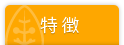 特徴